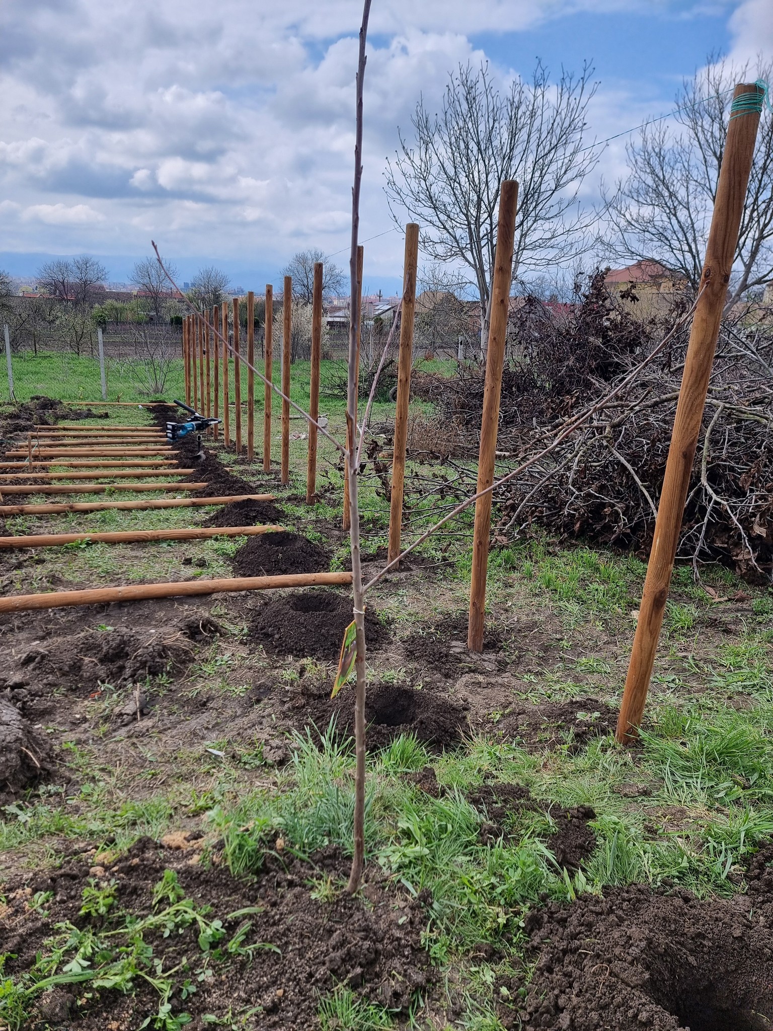 Șura Culturală Gușterița 27